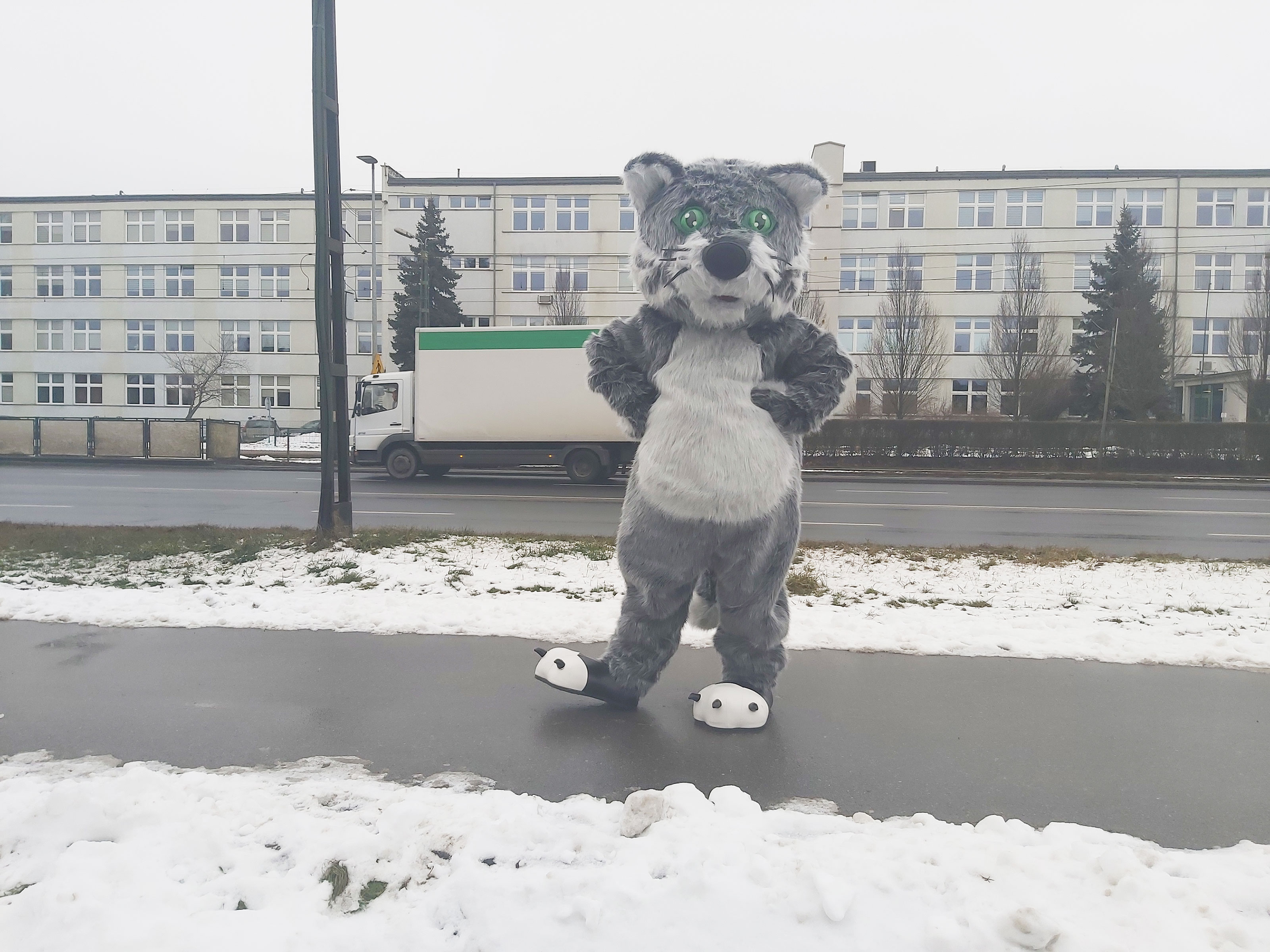 Na fotografii widnieje przebranie w postaci kota pozujące do zdjęcia w pobliżu siedziby firmy Elabika